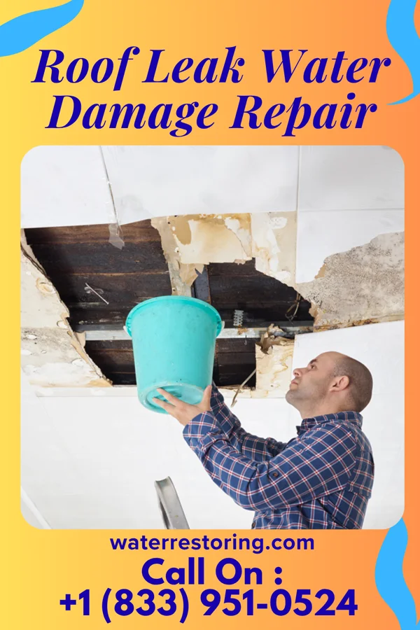 Roof Leak Water Damage Repair in Wall, SD